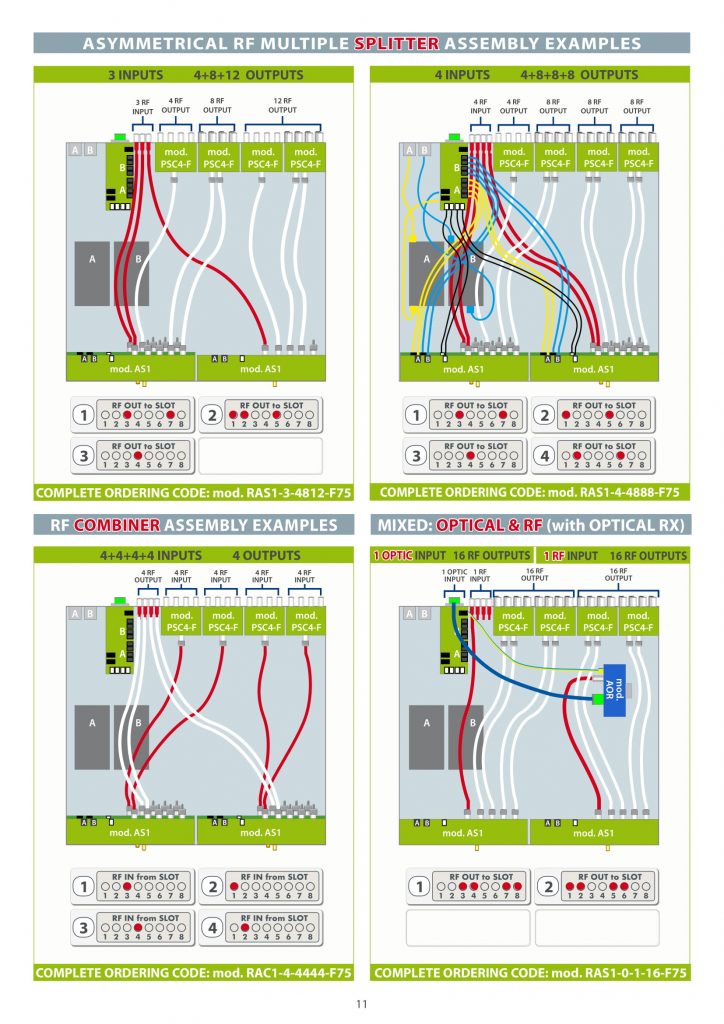 RAS-1_RAC-1 configuration example v8,2 s-11